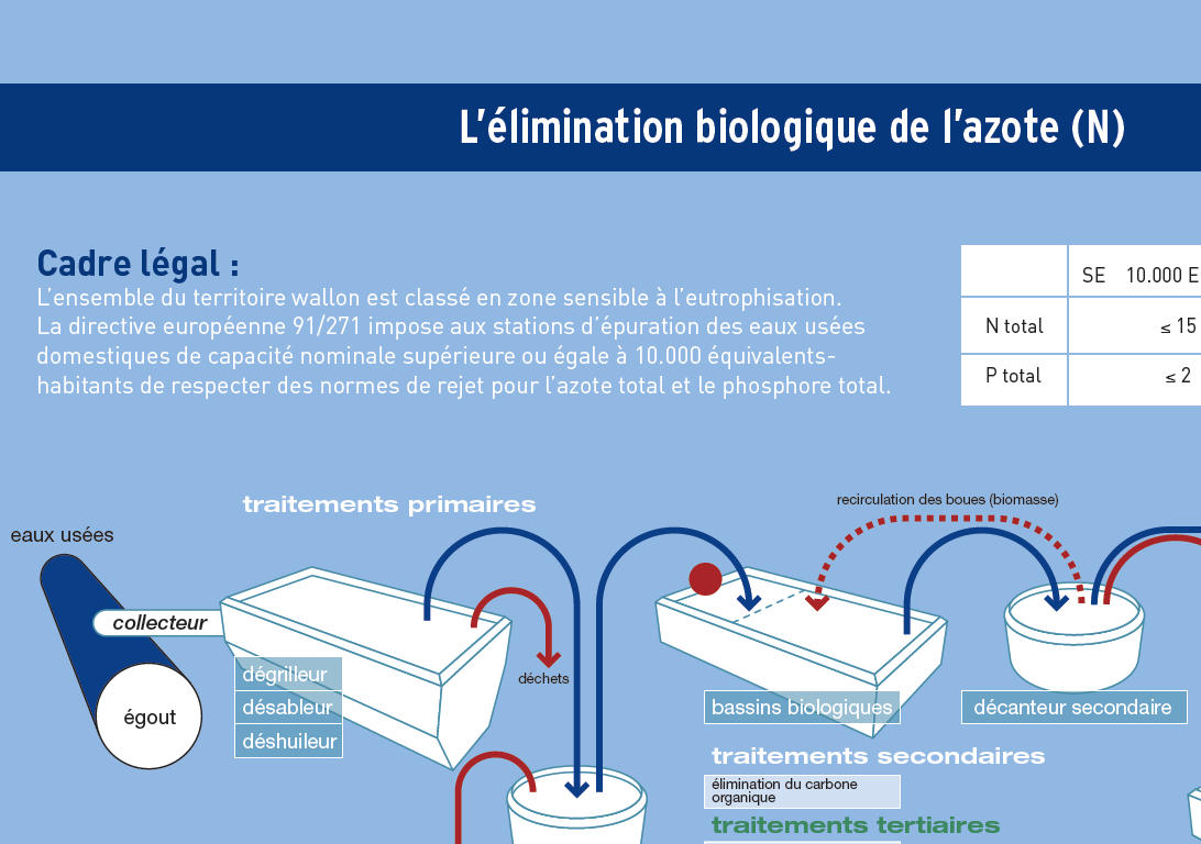 L'élimination biologique de l'azote