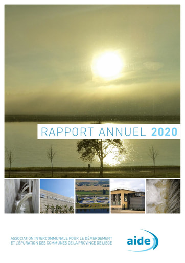 Rapport Annuel 2020