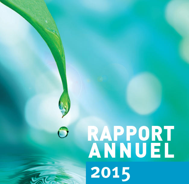 Rapport annuel 2015