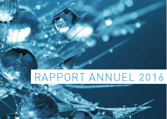 Rapport annuel 2016