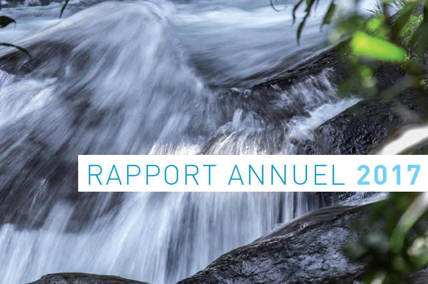 Rapport annuel 2017